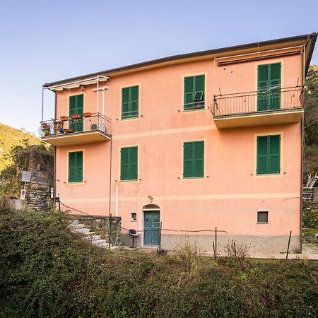 Il Limoneto Dei Cinque Sensi,Apartment With Garden ヴェルナッツァ エクステリア 写真