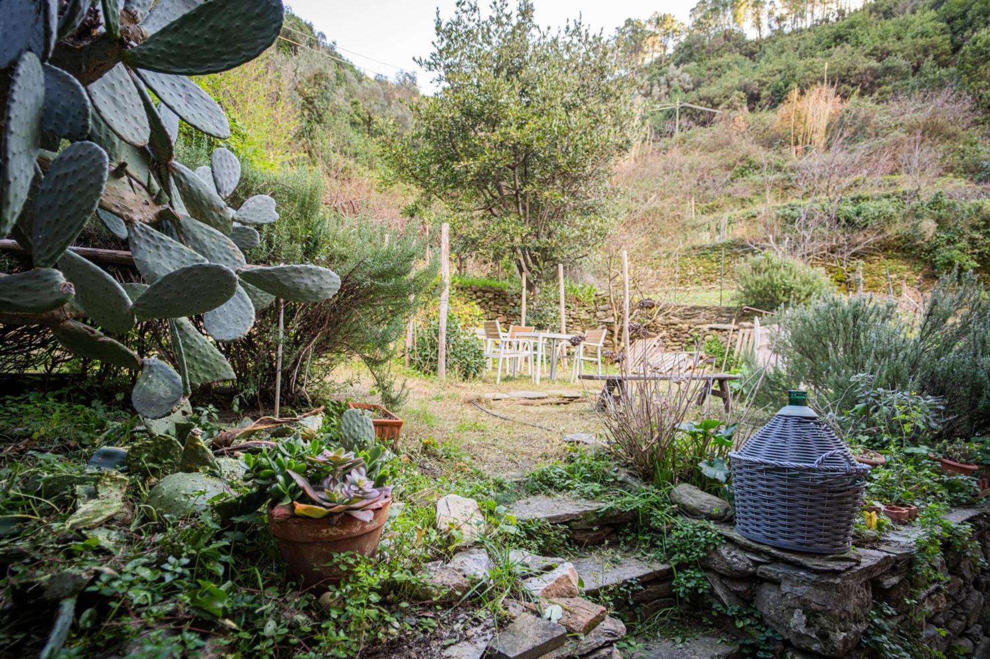 Il Limoneto Dei Cinque Sensi,Apartment With Garden ヴェルナッツァ エクステリア 写真